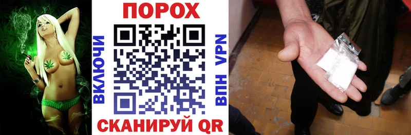 дарнет шоп  Новоалтайск  Amphetamine Premium 