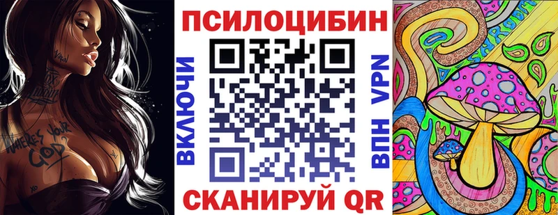 Галлюциногенные грибы Psilocybe  наркота  Новоалтайск 